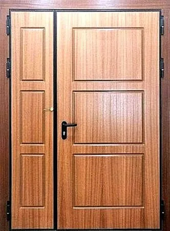 Противопожарные двери Противопожарная дверь FT-60-2