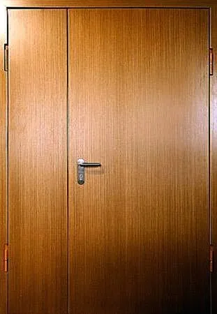 Противопожарные двери Противопожарная дверь FT-60-3