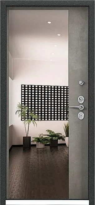 Двери с терморазрывом Дверь с терморазрывом с зеркалом для улицы KS-3