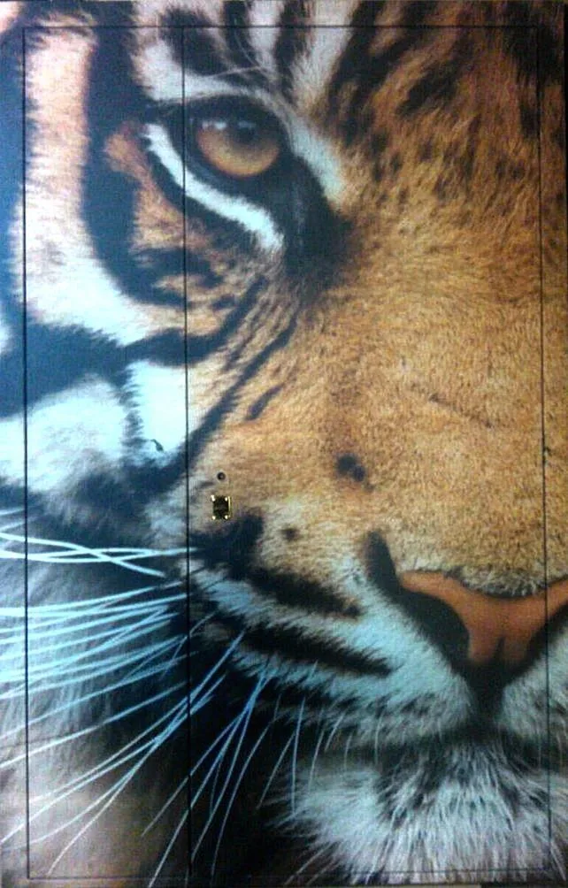 Фотопечать Тамбурная дверь ZA-1