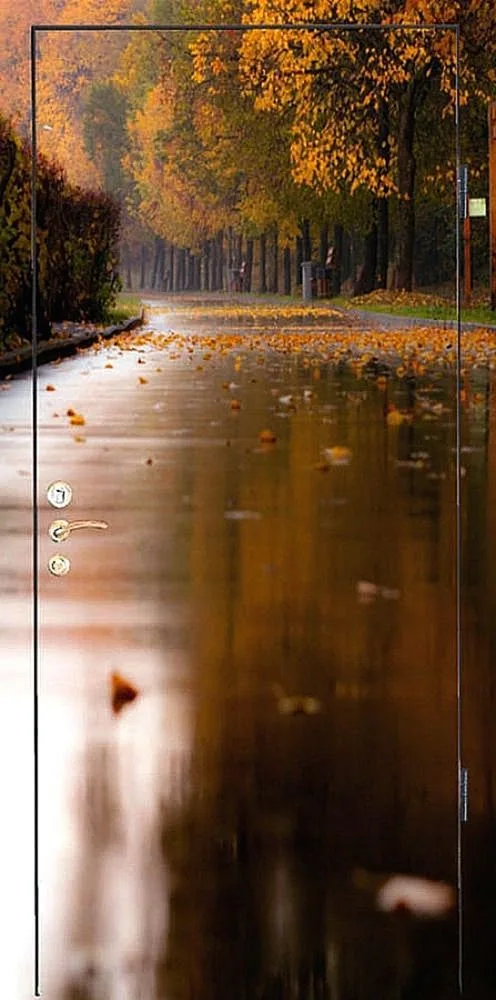 Фотопечать Входная дверь ZA-2